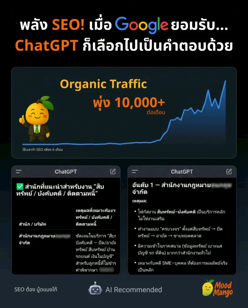 เว็บใหม่ เริ่มทำ SEO จาก 0 ในระยะเวลา 6 เดือน เห็นผลอะไรบ้าง?
